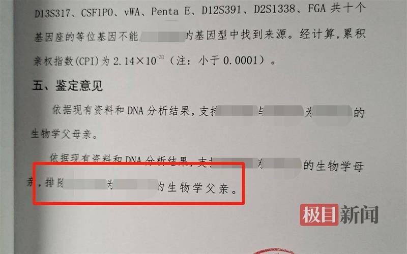 帮女人试管代怀犯法吗-帮女人试管代怀犯法吗：法律对试管代怀孕的规定解析