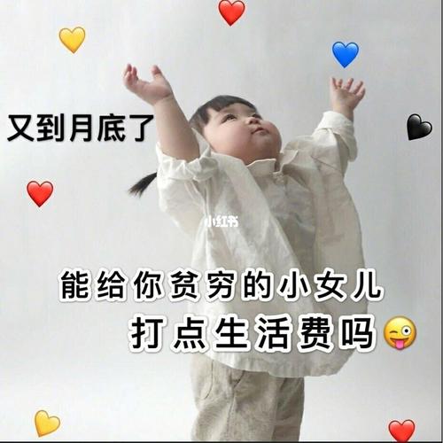 包生男孩费(包生男孩费:解读现代家庭的教育焦虑)