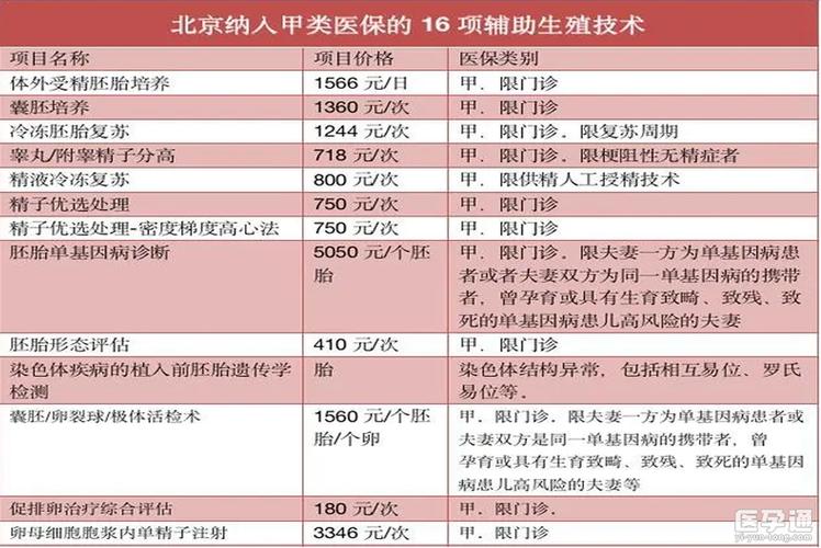 国内借卵试管代怀费用表-国内借卵试管代怀费用表解析