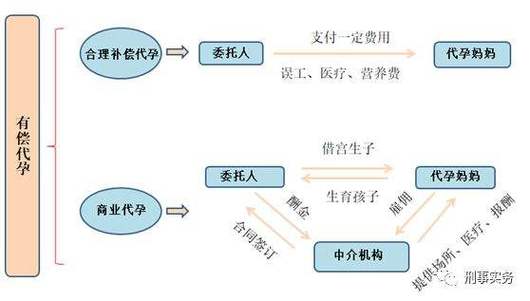 国内借卵试管代怀明细(国内借卵试管代怀费用明细解析)