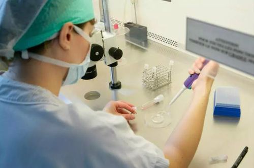 包生男孩试管_包生男孩试管:科技助力下的生育新选择