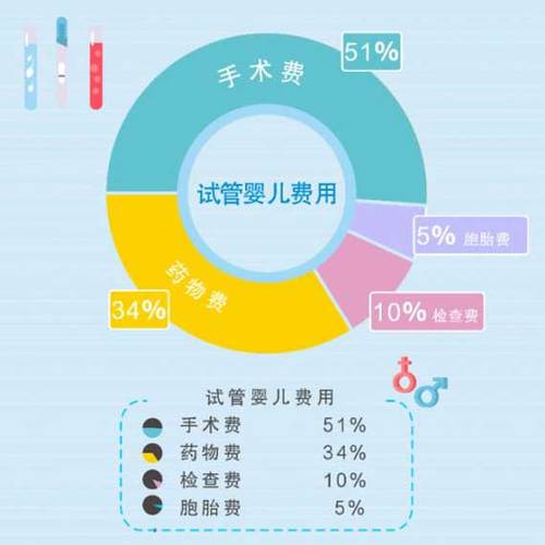 国内借卵试管代怀费用_国内借卵试管代怀费用分析及指导