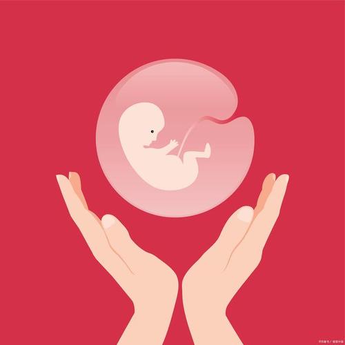 巴黎宝贝试管代怀_巴黎宝贝:试管代怀,为您带来生育的希望”