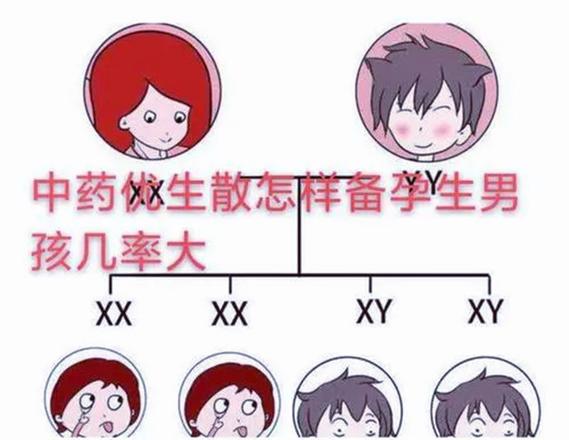 包生男孩双胞胎零风险(包生男孩双胞胎零风险:安全无忧的选择)
