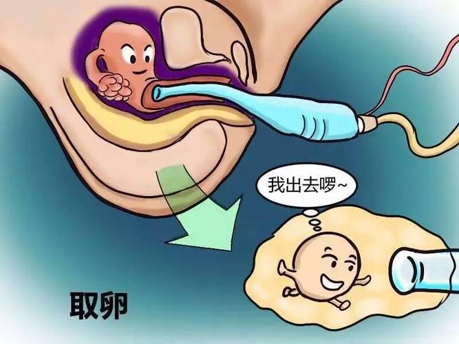 国内借卵试管代怀零风险-国内零风险借卵试管代怀服务