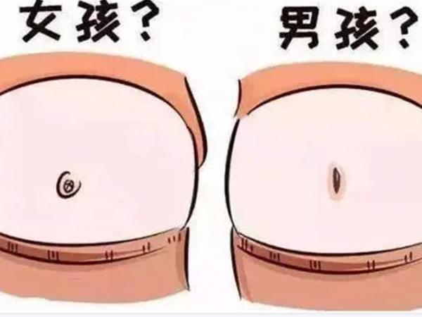 包生男孩信息(包生男孩信息全面解读)