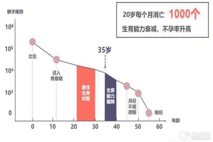 42岁试管晚不晚-42岁试管晚不晚:生育年龄的选择与风险